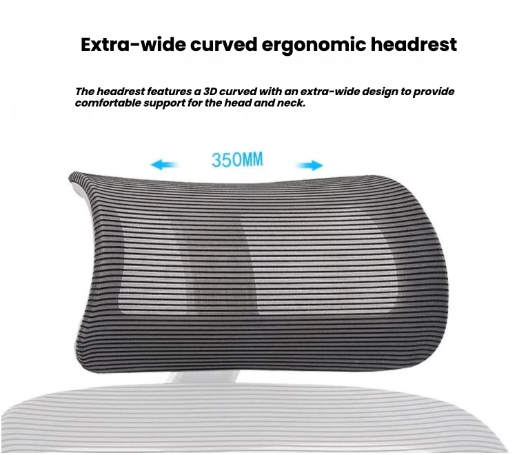 Ergonomic Office Chair