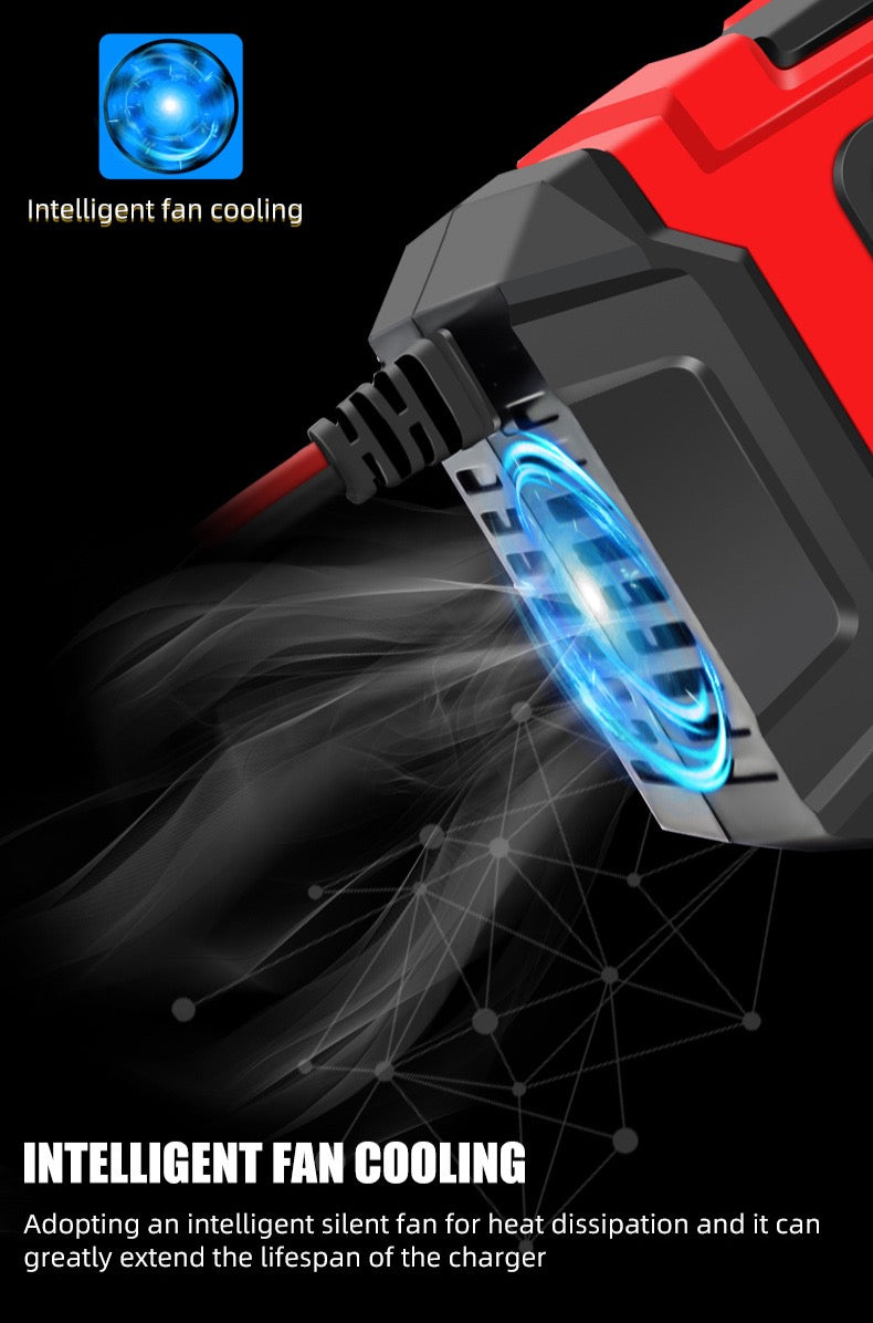 Intelligent 12V Battery Charger