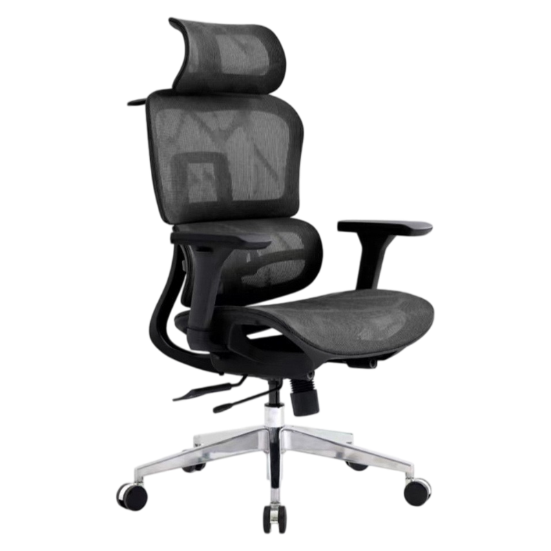 Ergonomic Office Chair