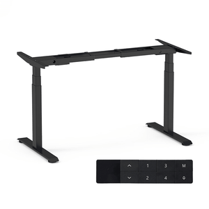 Electric Standing Desk Frame With Built-in Type C Controller - TrendLine & Co.