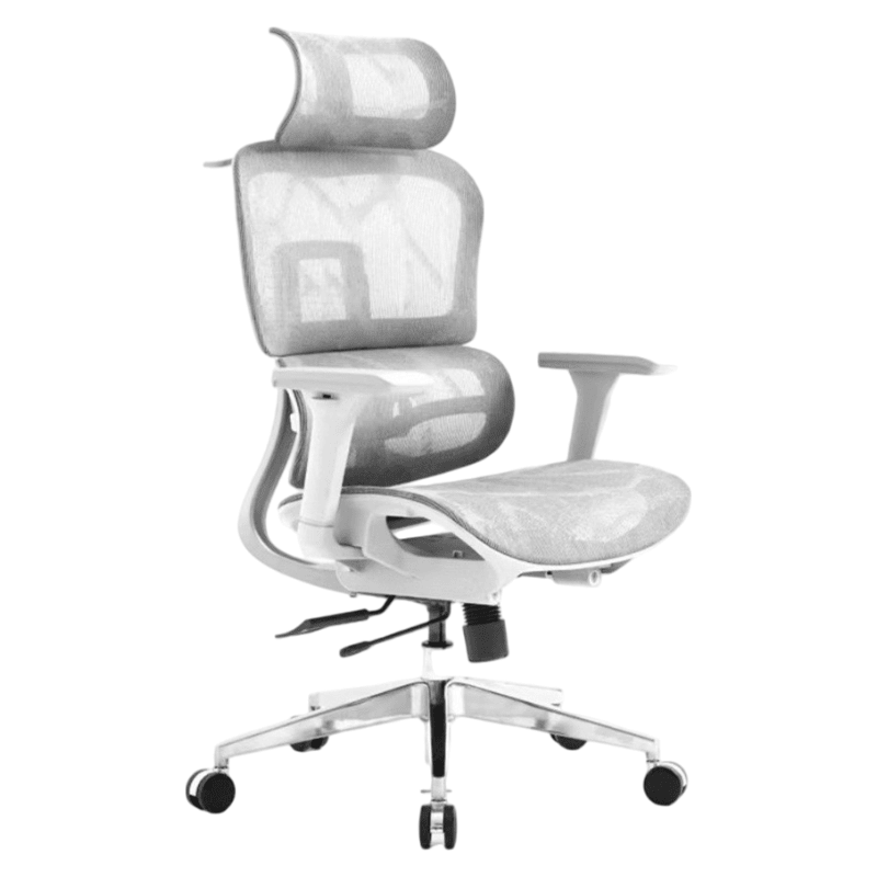 Ergonomic Office Chair - TrendLine & Co.