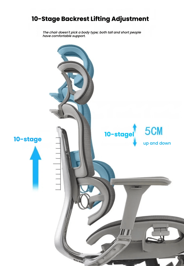 Ergonomic Office Chair - TrendLine & Co.