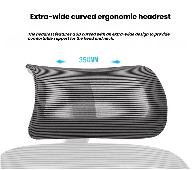 Ergonomic Office Chair - TrendLine & Co.