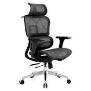 Ergonomic Office Chair - TrendLine & Co.