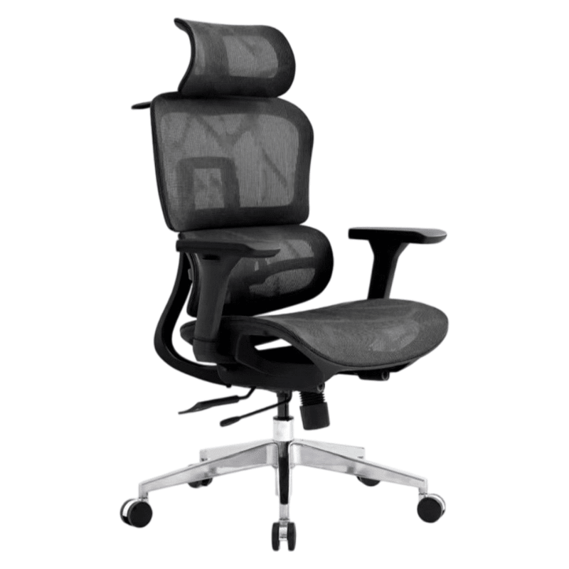 Ergonomic Office Chair - TrendLine & Co.