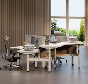 Multi-person Electric Height-adjustable Office Desk Workstation 25mm Thickness - TrendLine & Co.